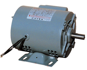 Single Phase Induction Motor - Shinmyung Electric
